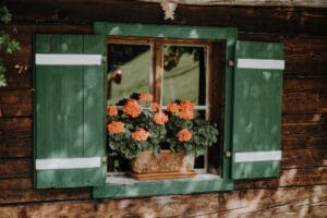 Eine rustikale Holzhüttenwand mit einem von grünen Fensterläden eingerahmten Fenster verkörpert den Charme intimer Hochzeitsmomente. Die mit leuchtend orangefarbenen Blumen geschmückte Fensterbank weckt ein Gefühl von Romantik und umrahmt das üppige Grün dahinter perfekt – eine malerische Kulisse für alle Hochzeitsplanungsträume.
