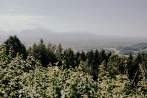 Eine malerische Aussicht auf einen üppigen Wald im Vordergrund, perfekt für eine romantische Hochzeit, mit einer weitläufigen Stadt, die im Tal darunter teilweise sichtbar ist. Im dunstigen Hintergrund sind sanfte Berge unter einem klaren Himmel zu sehen, was eine ideale Kulisse für Hochzeiten darstellt.