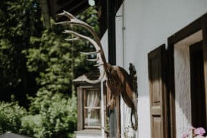Ein hölzerner Hirschkopf mit großem Geweih ist an der Außenwand eines bezaubernden weißen Hauses angebracht, das sich perfekt für eine einzigartige Hochzeit eignet. Das Haus verfügt über Fenster mit Holzrahmen und liegt eingebettet in eine Kulisse aus Bäumen und Grünflächen und bietet eine zauberhafte Kulisse für alle, die heiraten möchten.