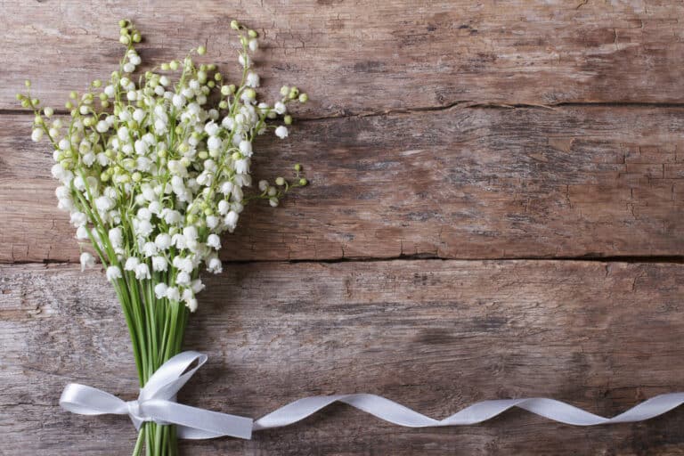 Ein Strauß kleiner weißer Blumen mit grünen Stielen, mit einem weißen Band zusammengebunden, auf einer rustikalen Holzoberfläche platziert. Perfekt für eine Hochzeit, das Band verläuft nach rechts und ergibt ein schlichtes, elegantes Arrangement.