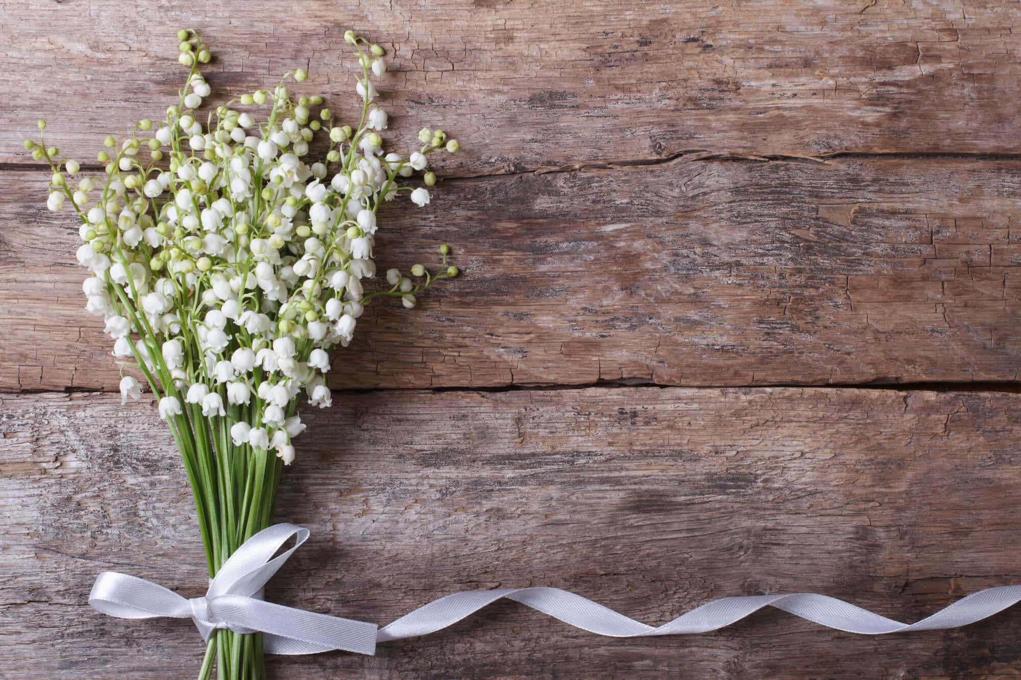 Ein Strauß kleiner weißer Blumen mit grünen Stielen, mit einem weißen Band zusammengebunden, auf einer rustikalen Holzoberfläche platziert. Perfekt für eine Hochzeit, das Band verläuft nach rechts und ergibt ein schlichtes, elegantes Arrangement.