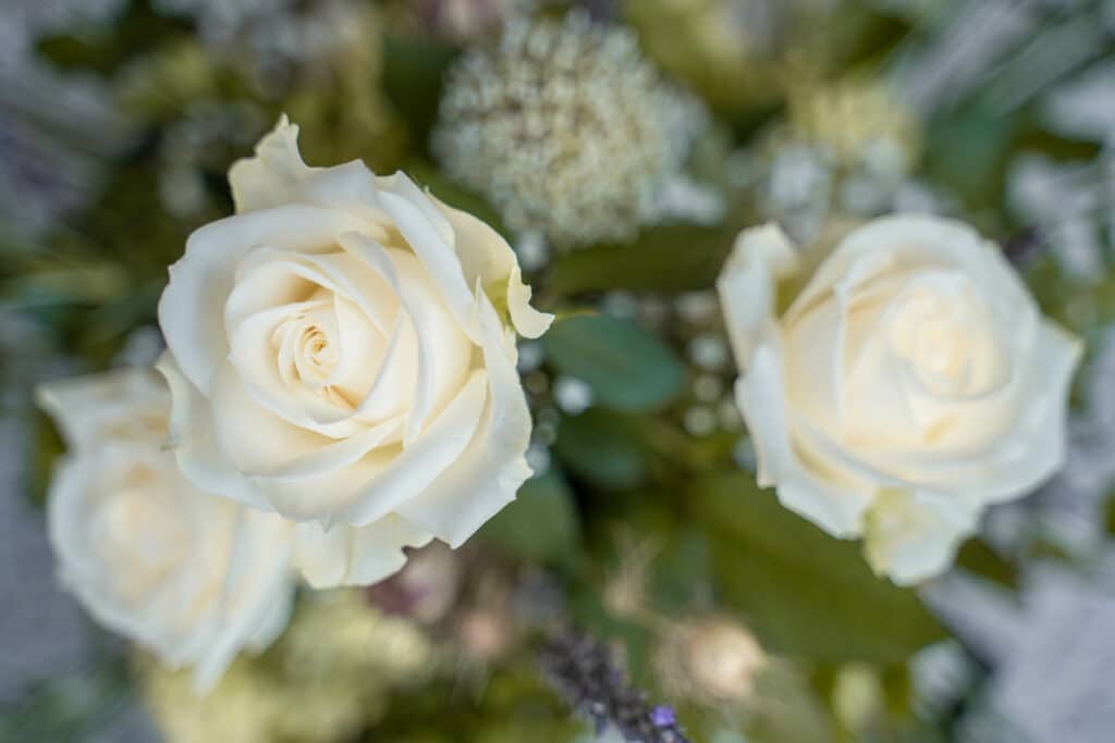 Eine Nahaufnahme eines Hochzeitsstraußes mit drei weißen Rosen inmitten von grünem Laub, mit einem leicht verschwommenen Hintergrund. Die Blütenblätter der Rosen sind zart geschichtet und erzeugen ein Gefühl von Eleganz und Ruhe, perfekt für Ihre Hochzeitsplanung.