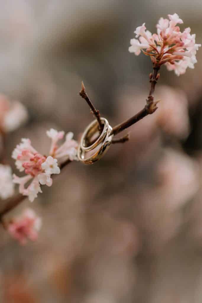 Ein Paar goldene Eheringe, Symbole einer wunderschönen Hochzeit, hängen an einem schlanken Ast eines blühenden Baums, der mit zarten rosa Blüten vor einem weichen, unscharfen Hintergrund geschmückt ist.