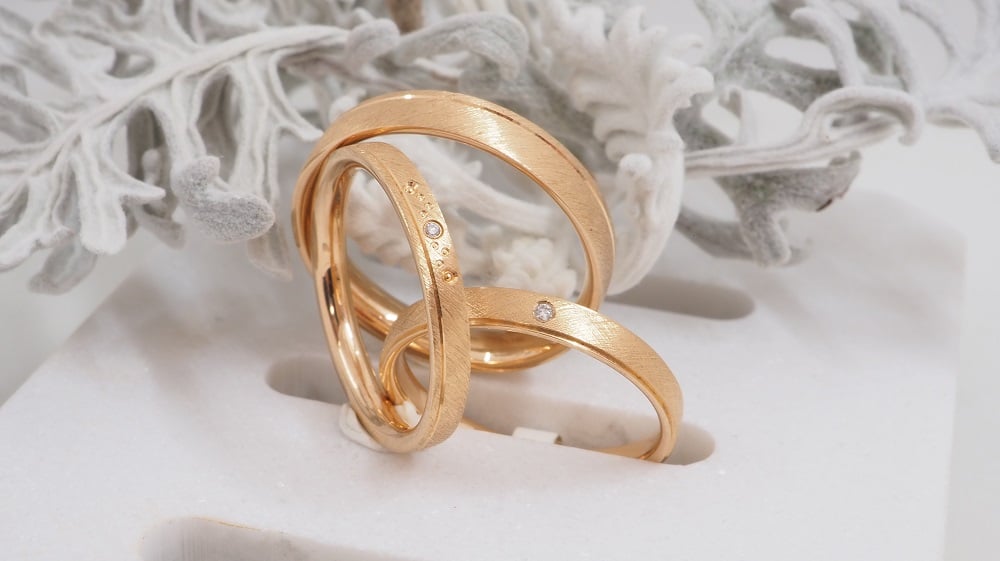 Zwei Goldringe mit matter Oberfläche, einer davon mit kleinen eingebetteten Diamanten, sind ineinander verschlungen auf einer weißen Fläche mit weichem, gefrostetem Laub im Hintergrund dargestellt.