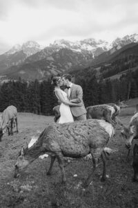 Braut und Bräutigam küssen sich in einer Berglandschaft, umgeben von grasenden Rehen. Das Paar steht auf einer Wiese mit schneebedeckten Bergen und dichtem Wald im Hintergrund und verkörpert die Essenz einer Hochzeit. Die Szene strahlt eine friedliche und romantische Atmosphäre aus.