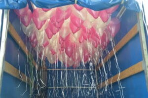 Ein mit rosa und weißen Luftballons geschmückter LKW wird ausgestellt, perfekt für eine Hochzeit. An den Ballons hängen lange Bänder herab, während der LKW-Innenraum mit Holzpaneelen und einer blauen Plane ausgestattet ist, was ihn zu einer idealen Kulisse für kreative Hochzeitsplanung macht.