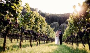 Ein Paar steht umarmt in einem üppigen Weinberg, umgeben von Reihen von Weinreben. Die Sonne geht im Hintergrund unter und wirft einen warmen Schein auf die Szene. Dies schafft eine romantische Atmosphäre, die sich ideal für die Hochzeitsplanung und das Festhalten von Erinnerungen eignet.