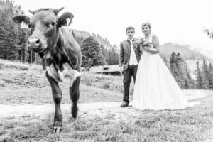 Ein Schwarzweißfoto fängt die Schönheit einer Hochzeitsszene ein, in der Braut und Bräutigam auf einem Pfad in einer Berglandschaft stehen. Eine Kuh wandert im Vordergrund umher und verleiht dem Ganzen Charme, während die Braut ihren Blumenstrauß hält. Der Bräutigam sieht in seinem Anzug zwischen nebligen Hügeln und Bäumen elegant aus.