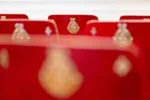 Rote Stühle mit verzierten goldenen Emblemen auf den Rückenlehnen sind in Reihen angeordnet und schaffen eine königliche Atmosphäre, die perfekt für eine Hochzeit ist. Der Fokus liegt auf dem mittleren Stuhl, der das komplizierte Emblemdesign zur Schau stellt, während die umliegenden Stühle leicht verschwommen sind.