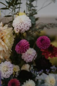 Ein Strauß mit einer Mischung aus leuchtenden Dahlien in Lila-, Rosa- und Cremetönen, perfekt für jede Hochzeitsplanung. Umgeben von üppigem grünem Laub haben die Blumen geschichtete Blütenblätter, die vor einem sanft verschwommenen Hintergrund ein strukturiertes Aussehen erzeugen.