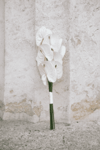 Ein Strauß weißer Callas ist elegant vor einer alten, strukturierten Steinwand arrangiert und schafft mit den zarten Blütenblättern einen eindrucksvollen Kontrast, perfekt für jede Hochzeitsplanung.