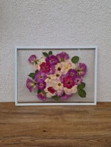 Ein gerahmtes Arrangement aus gepressten Blumen mit leuchtend violetten, rosa und weißen Blüten und grünen Blättern verleiht der Hochzeitsdekoration eine romantische Note. Perfekt für eine elegante Hochzeitspräsentation vor einer strukturierten weißen Wand auf einer Holzoberfläche.