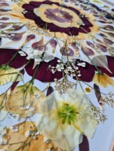 Ein Mandala aus gepressten Blütenblättern in Gelb-, Lila- und Weißtönen, angeordnet in konzentrischen Kreisen. Zartes weißes Schleierkraut sorgt für filigrane Details, perfekt für elegante Hochzeitsplanung vor hellem Hintergrund.