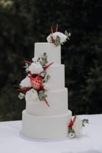 Eine vierstöckige weiße Torte, geschmückt mit weißen Rosen, rosa Protea-Blüten und Zweigen mit roten Beeren, ziert den Tisch und ist perfekt für eine traumhafte Hochzeitsfeier. Auf einer weißen Tischdecke mit verschwommenem grünem Hintergrund stehend, verkörpert sie exquisite Hochzeitsplanung.