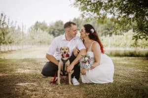 Ein Paar im Hochzeitskleid kniet auf einer Wiese mit Bäumen im Hintergrund. Sie lächeln sich an, halten einen Blumenstrauß in der Hand und zwischen ihnen sitzt ein Hund mit einer roten Fliege – ein perfekter Moment der Liebe und Freude, eingefangen inmitten ihrer wunderschönen Hochzeitsfeier.