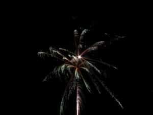 Ein funkelndes Feuerwerk explodiert am Nachthimmel und ähnelt einer Palme mit Streifen aus weißem, orangefarbenem und grünem Licht – eine magische Kulisse für eine Hochzeitsfeier. Perfekt für alle, die schon weit mit der Hochzeitsplanung beschäftigt sind.