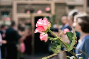 Eine Nahaufnahme einer rosa Rose mit grünen Blättern ist scharf, während Menschen und ein Gebäude im Hintergrund unscharf erscheinen. Die Szene lässt auf eine Versammlung oder Feier im Freien schließen.