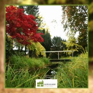Eine kleine Brücke führt über einen ruhigen Bach, umgeben von saftig grünem Gras und leuchtenden Herbstbäumen mit roten und gelben Blättern. Das Logo am unteren Rand lautet "GLÖGGLHOF your special place".