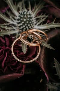 Drei goldene Ringe, einer davon mit einem schwarzen Edelstein, ruhen auf stacheligen Distelblättern und tiefvioletten Blütenblättern, die einen auffälligen Kontrast zwischen den Schmuckstücken und den dramatischen Blumen bilden.