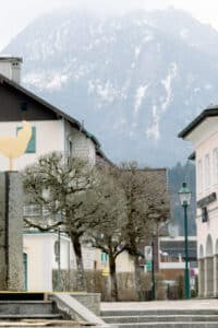 Eine Fußgängerzone mit blattlosen Bäumen, einer goldenen Hahnskulptur auf einem Steinsockel und Gebäuden im alpinen Stil vor einer nebligen Bergkulisse.